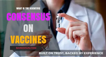 Scientific Consensus on Vaccines: Safety, Efficacy, and Public Health Benefits