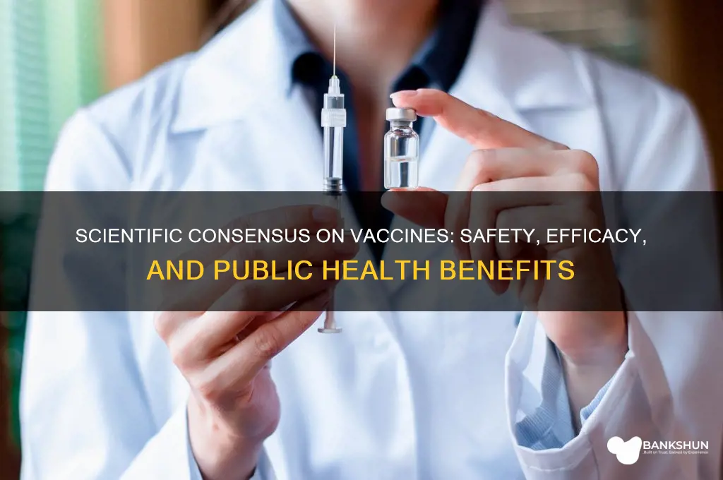 what is the scientific consensus on vaccines