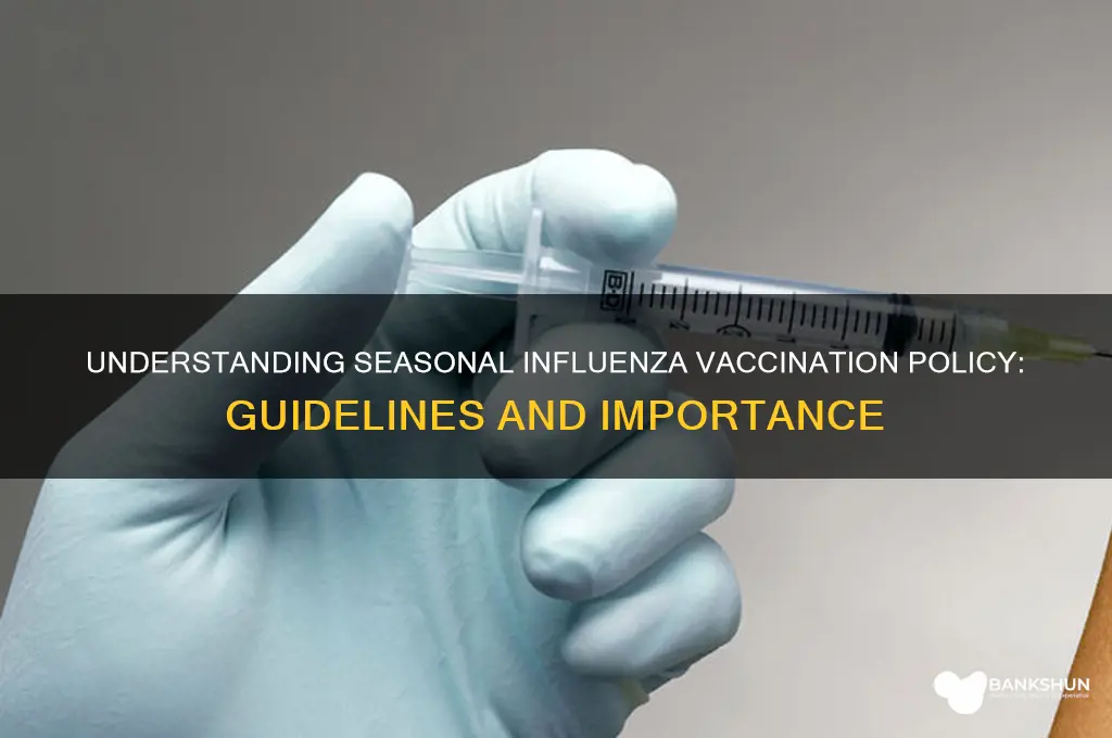 what is the seasonal influenza vaccination policy