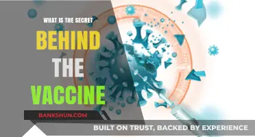 Unveiling the Science: The Secret Behind Vaccine Development and Efficacy