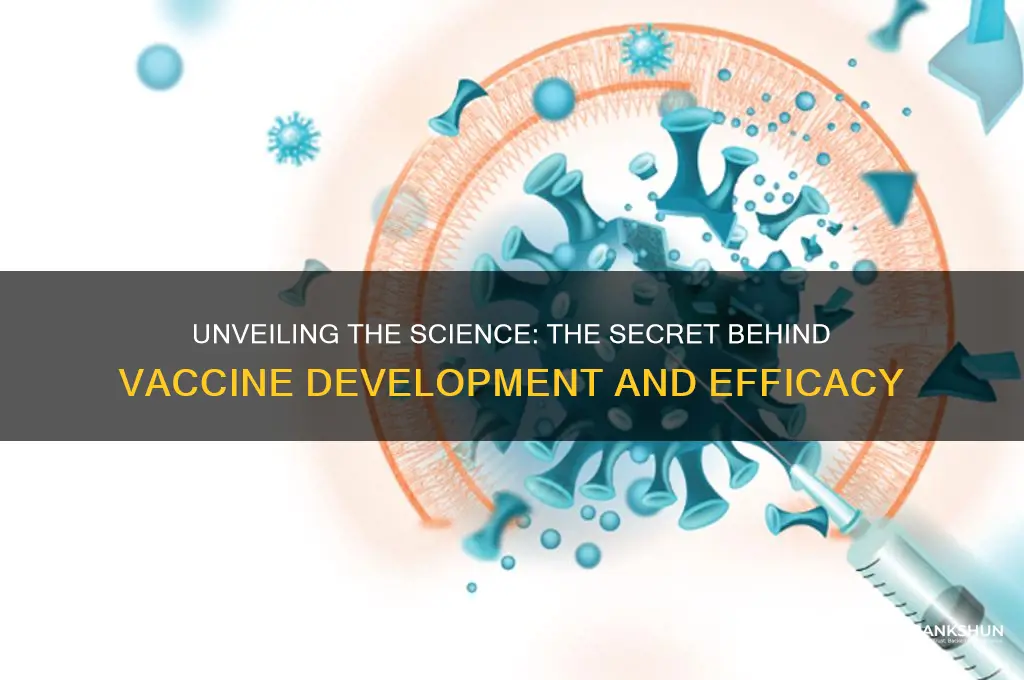 what is the secret behind the vaccine