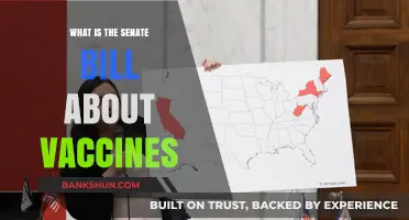 Understanding the Senate Bill: Vaccine Mandates, Rights, and Public Health