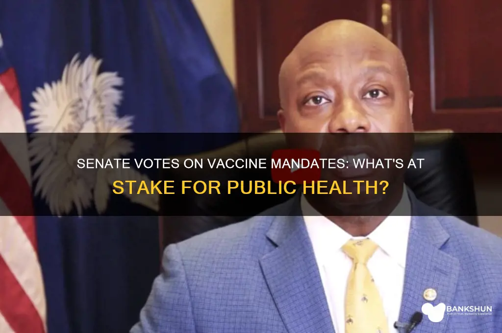 what is the senate voting on vaccines