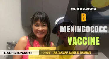 Understanding Serogroup B Meningococcal Vaccine: Benefits, Risks, and Importance