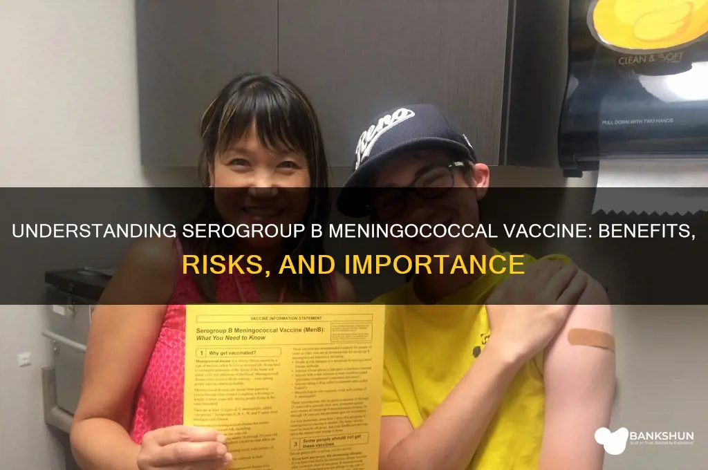 what is the serogroup b meningococcal vaccine