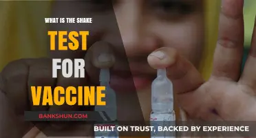 Understanding the Shake Test: A Crucial Vaccine Quality Assurance Method