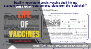 Understanding Vaccine Shelf Life: Storage, Expiry, and Effectiveness Explained