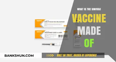 Understanding Sinovac: Key Ingredients and Composition Explained Simply