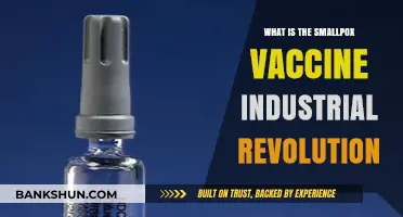 Smallpox Vaccine's Impact on the Industrial Revolution: A Historical Overview