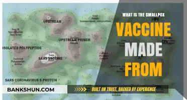 Understanding the Smallpox Vaccine: Origins, Composition, and Effectiveness