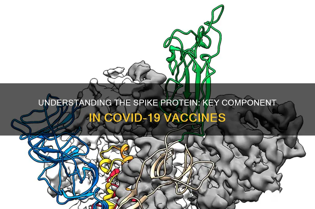 what is the spike protein in vaccine