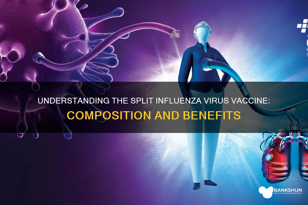 what is the split influenza virus vaccine