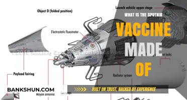 Sputnik V Vaccine Composition: Ingredients and Manufacturing Process Explained