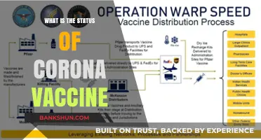Latest Updates: Global COVID-19 Vaccine Rollout and Distribution Status