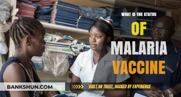 Malaria Vaccine Progress: Current Status, Challenges, and Future Prospects
