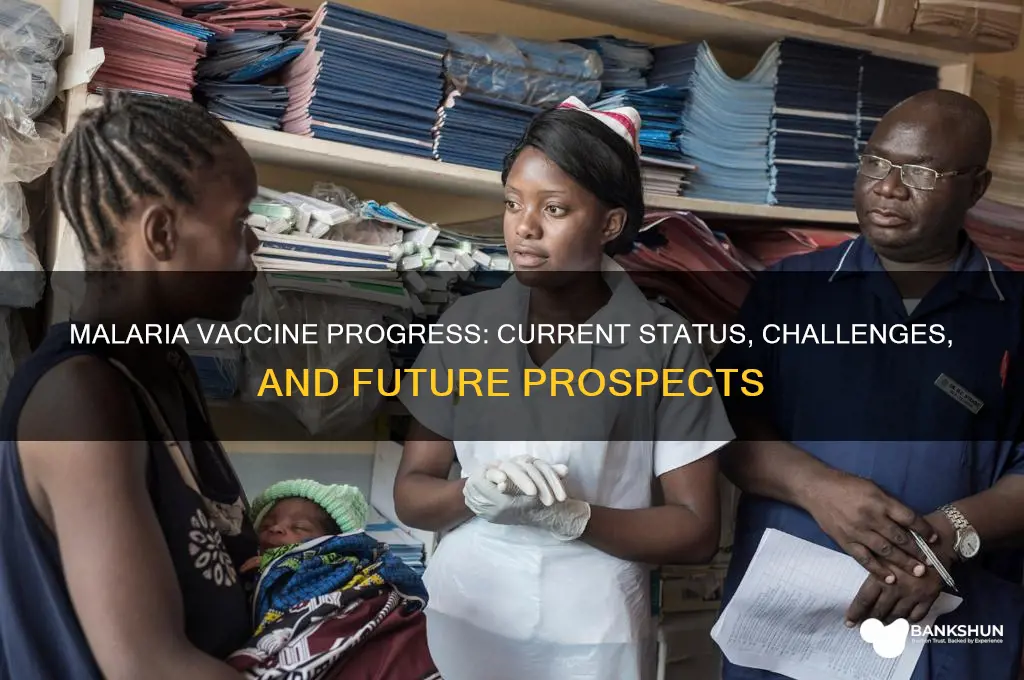 what is the status of malaria vaccine