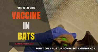 Understanding the Sting Vaccine: Bats' Unique Defense Mechanism Explained