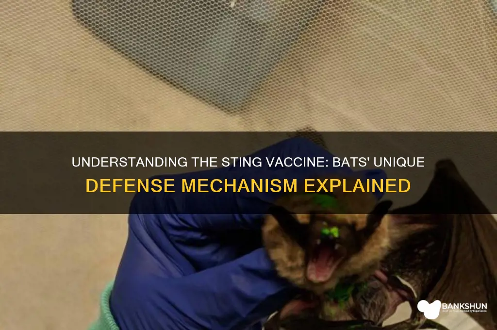 what is the sting vaccine in bats