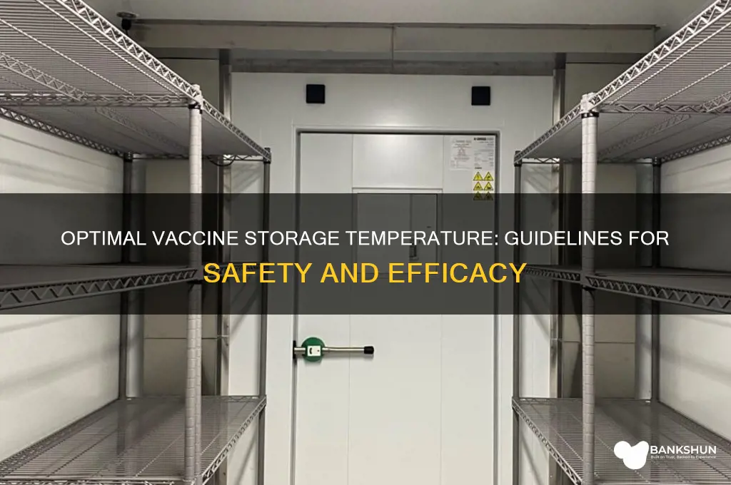 what is the storage temp for vaccines