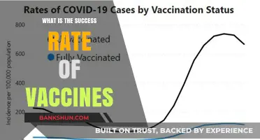 Understanding Vaccine Success Rates: Effectiveness, Impact, and Global Health Benefits