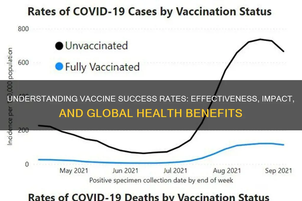 what is the success rate of vaccines