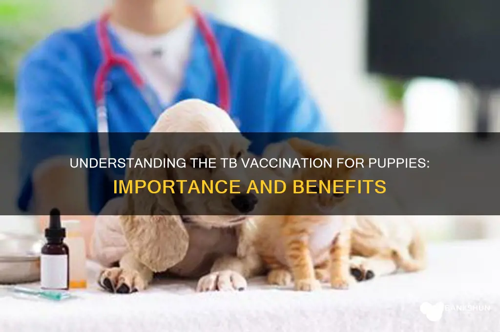 what is the tb vaccination for puppy