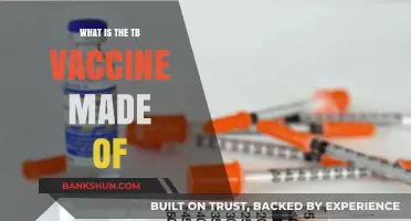 Understanding the TB Vaccine: Ingredients and Composition Explained