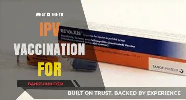 Understanding the TD IPV Vaccine: Uses, Benefits, and Importance Explained