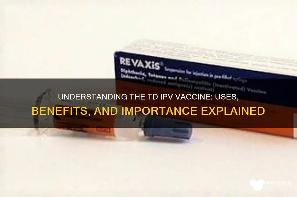 what is the td ipv vaccination for