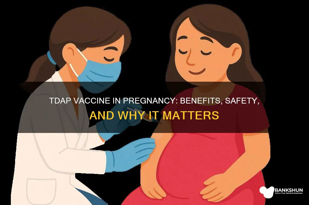 what is the tdap vaccine during pregnancy