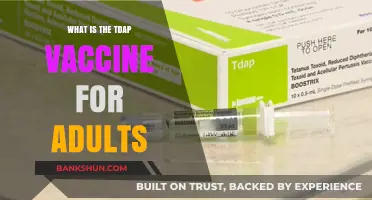 Understanding the Tdap Vaccine: Adult Benefits and Importance Explained