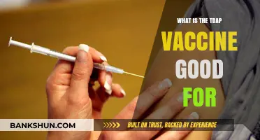 Understanding Tdap Vaccine Benefits: Protecting Against Tetanus, Diphtheria, and Pertussis