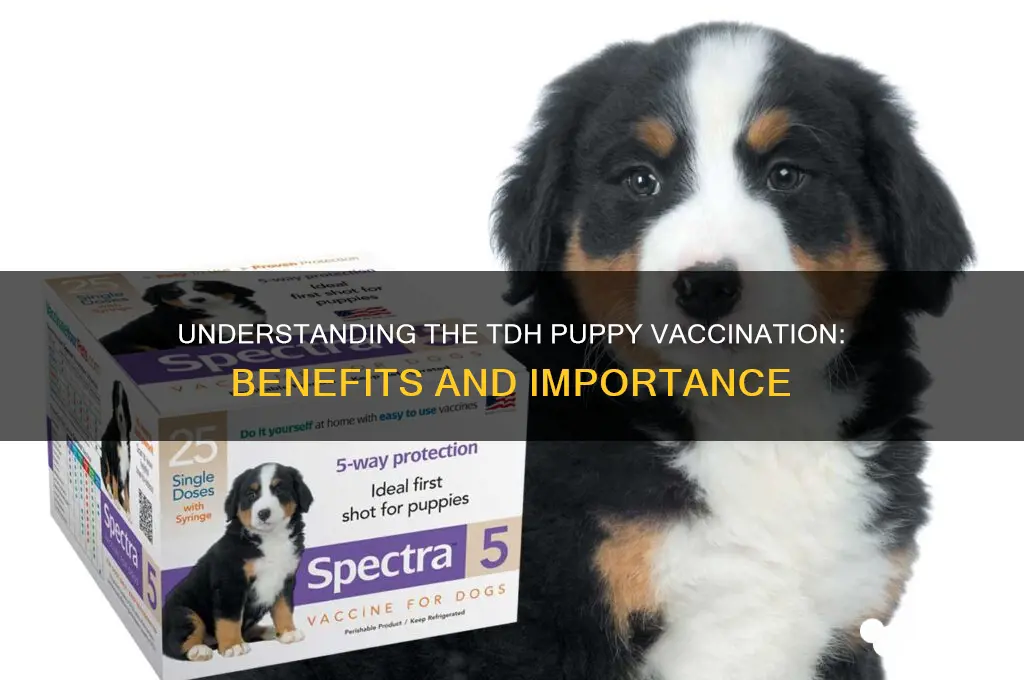 what is the tdh vaccination for puppy