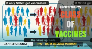 Understanding Vaccines: Exploring Their Therapeutic Class and Medical Benefits