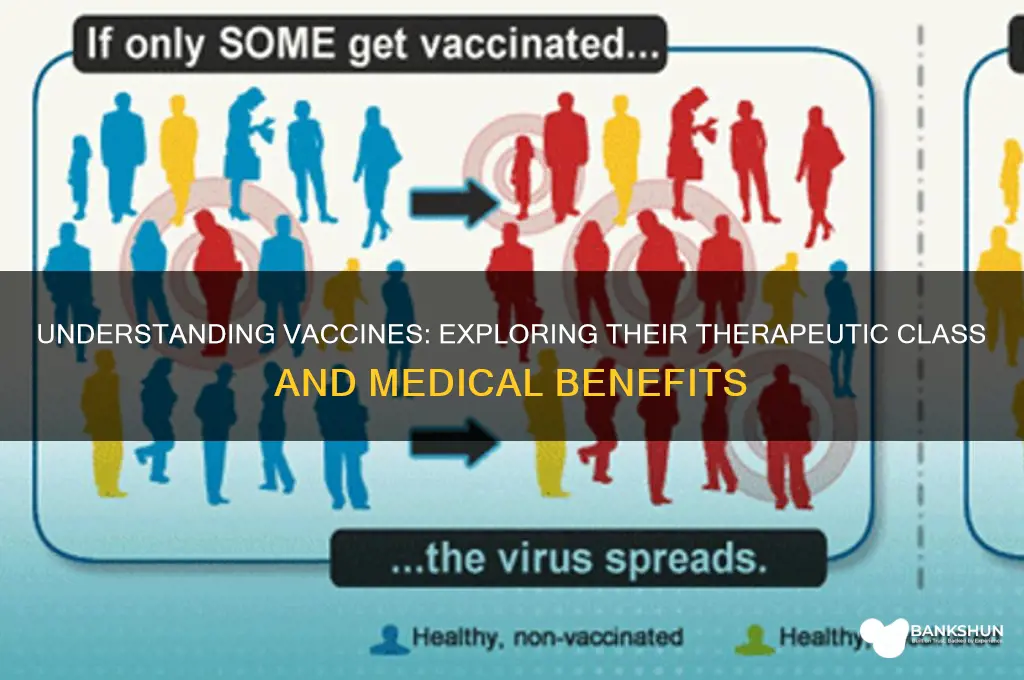 what is the therapetic class of vaccines