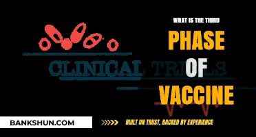 Understanding the Crucial Third Phase of Vaccine Development and Trials