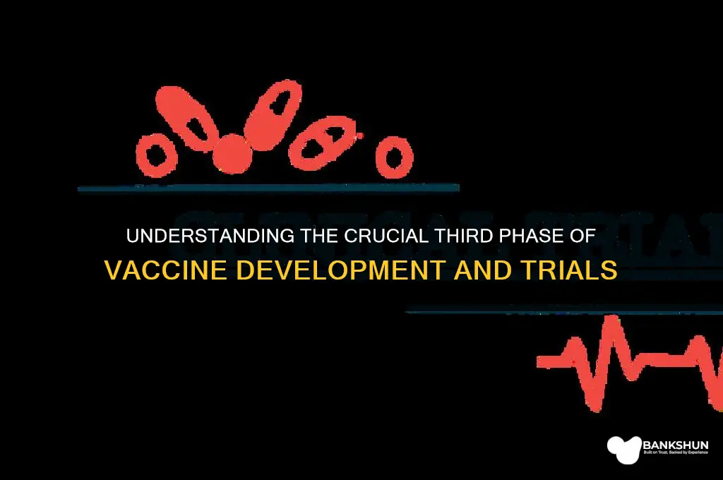what is the third phase of vaccine