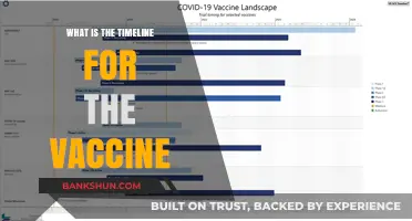 Understanding the COVID-19 Vaccine Timeline: Development, Distribution, and Beyond