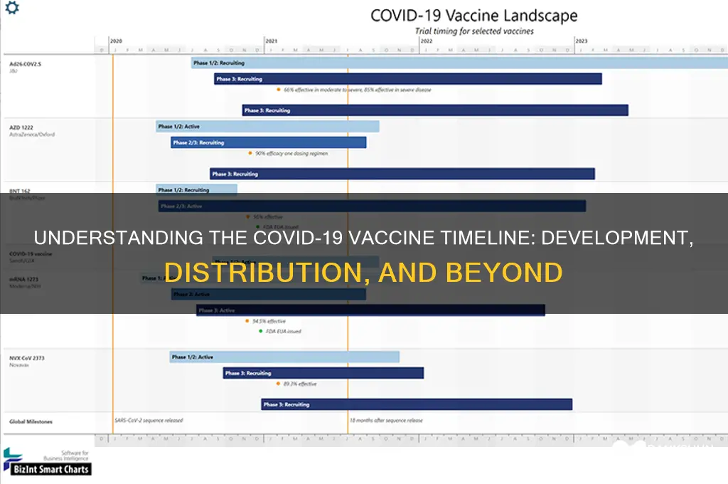 what is the timeline for the vaccine