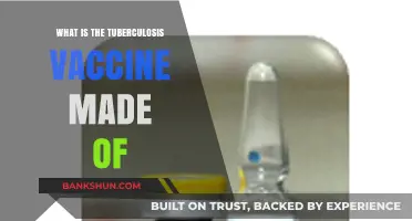 Understanding the Tuberculosis Vaccine: Ingredients and Composition Explained