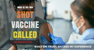 Understanding the Dual-Dose Vaccine: What’s the Two-Shot Vaccine Called?