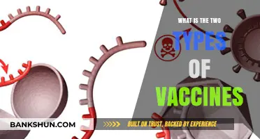 Understanding the Two Primary Types of Vaccines and Their Uses