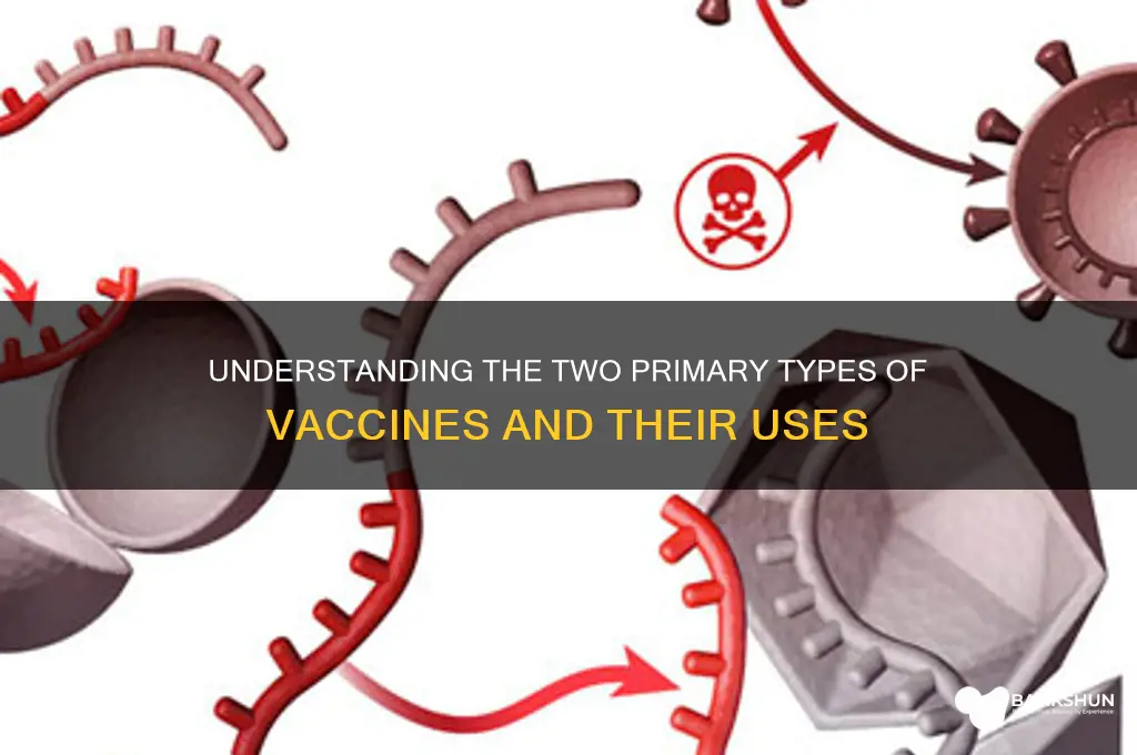 what is the two types of vaccines