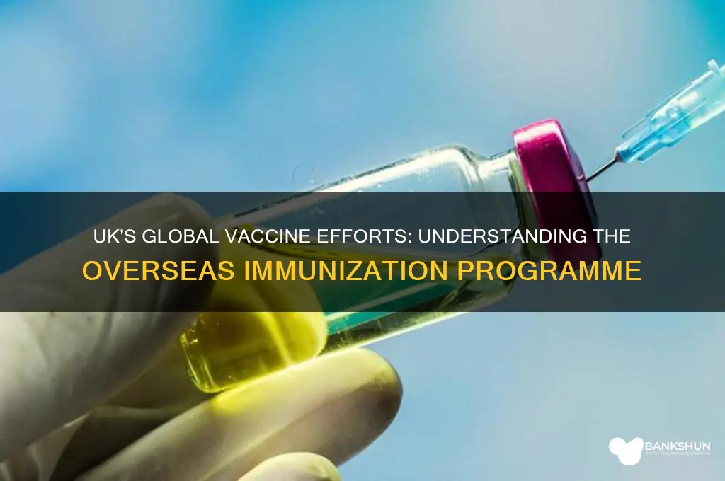 what is the uk vaccine programme overseas
