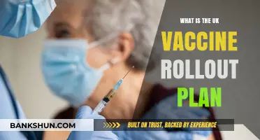 UK Vaccine Rollout Plan: Phases, Priorities, and Distribution Strategy