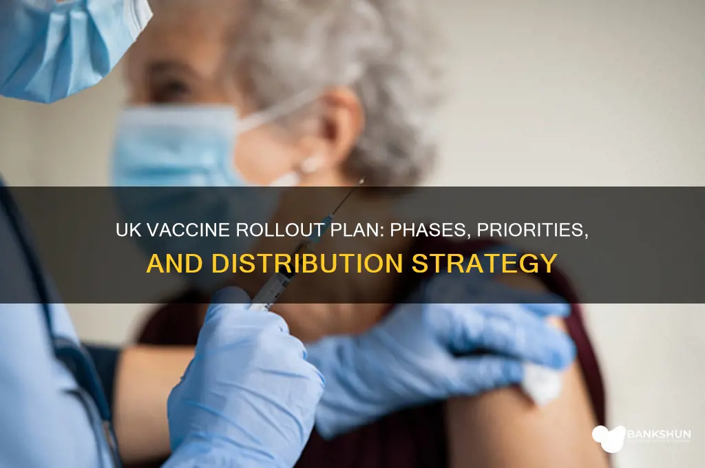 what is the uk vaccine rollout plan