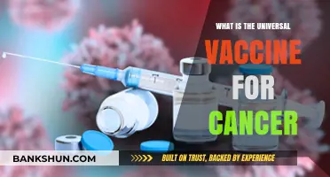 Unlocking the Mystery: The Quest for a Universal Cancer Vaccine