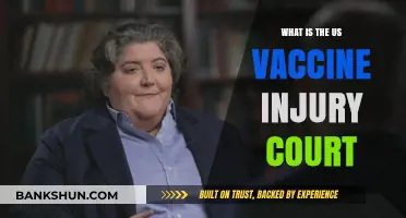Understanding the US Vaccine Injury Compensation Program: A Legal Overview