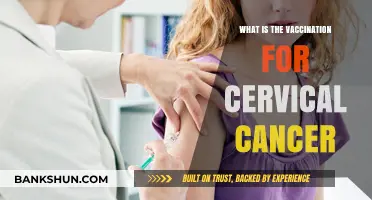 Understanding Cervical Cancer Vaccination: Prevention, Protection, and HPV Awareness