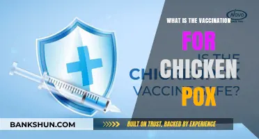 Understanding the Chickenpox Vaccine: Prevention, Benefits, and Importance